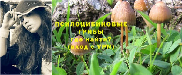 мяу мяу кристалл Богданович