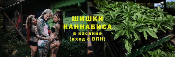 мяу мяу кристалл Богданович