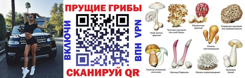 Галлюциногенные грибы Cubensis  Острогожск 